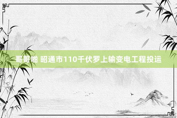 哥哥啪 昭通市110千伏罗上输变电工程投运