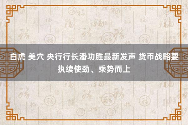 白虎 美穴 央行行长潘功胜最新发声 货币战略要执续使劲、乘势而上