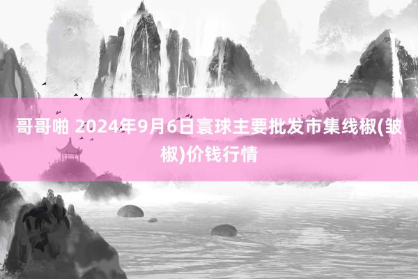 哥哥啪 2024年9月6日寰球主要批发市集线椒(皱椒)价钱行情