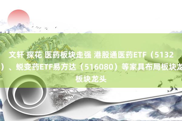 文轩 探花 医药板块走强 港股通医药ETF（513200）、蜕变药ETF易方达（516080）等家具布局板块龙头