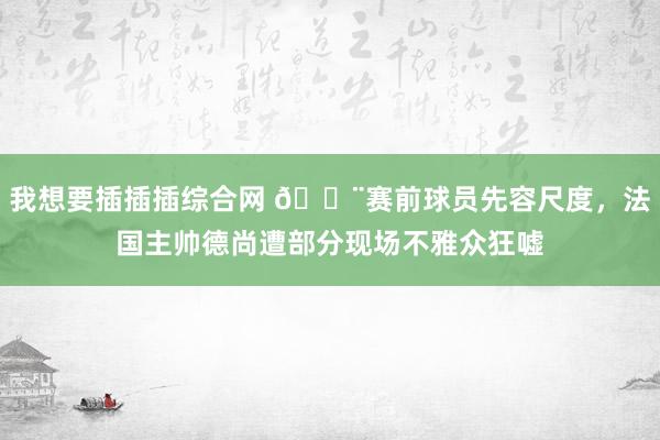 我想要插插插综合网 😨赛前球员先容尺度，法国主帅德尚遭部分现场不雅众狂嘘