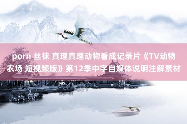 porn 丝袜 真理真理动物看成记录片《TV动物农场 短视频版》第12季中字自媒体说明注解素材