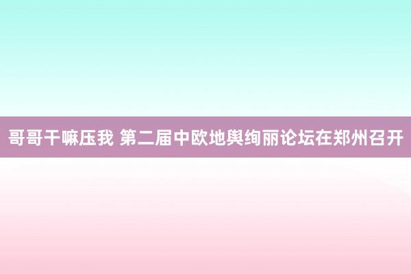 哥哥干嘛压我 第二届中欧地舆绚丽论坛在郑州召开