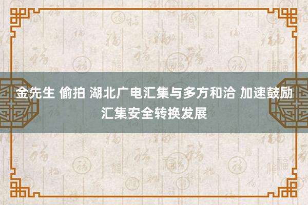 金先生 偷拍 湖北广电汇集与多方和洽 加速鼓励汇集安全转换发展