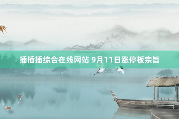 插插插综合在线网站 9月11日涨停板宗旨