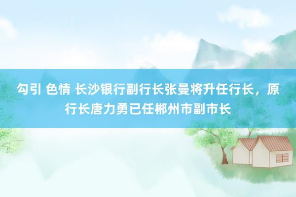 勾引 色情 长沙银行副行长张曼将升任行长，原行长唐力勇已任郴州市副市长
