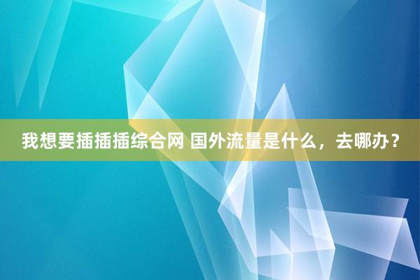 我想要插插插综合网 国外流量是什么，去哪办？