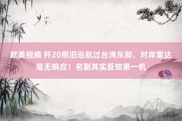 欧美视频 歼20照旧巡航过台湾东部，对岸雷达毫无响应！名副其实反独第一机