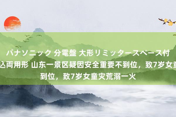 パナソニック 分電盤 大形リミッタースペース付 露出・半埋込両用形 山东一景区疑因安全重要不到位，致7岁女童灾荒溺一火