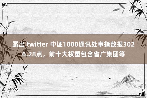 露出 twitter 中证1000通讯处事指数报3026.28点，前十大权重包含省广集团等