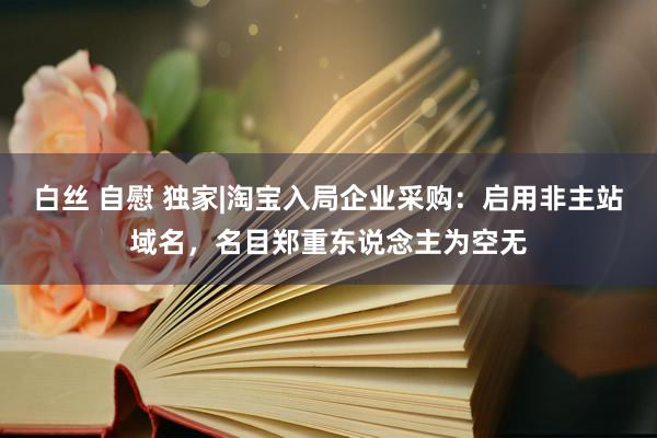 白丝 自慰 独家|淘宝入局企业采购：启用非主站域名，名目郑重东说念主为空无