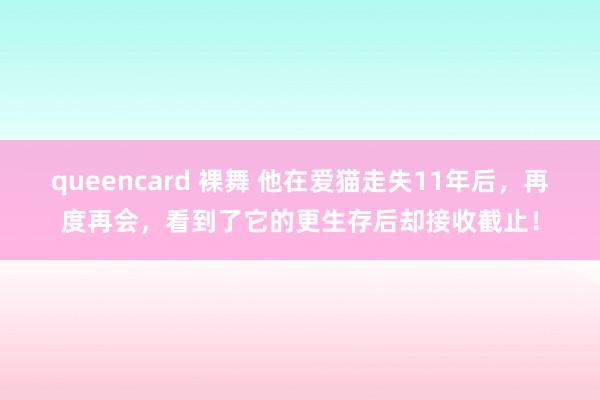 queencard 裸舞 他在爱猫走失11年后，再度再会，看到了它的更生存后却接收截止！