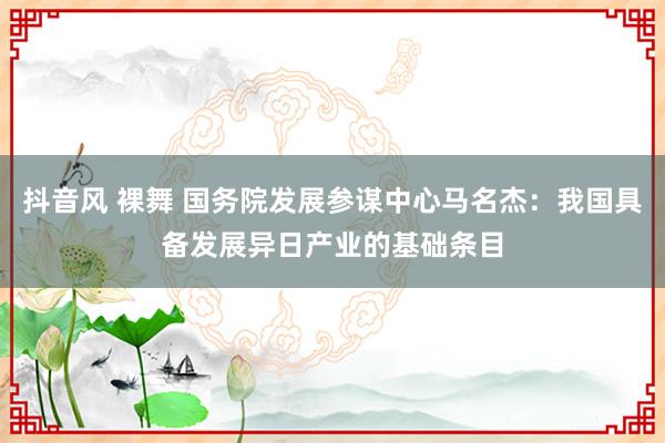 抖音风 裸舞 国务院发展参谋中心马名杰：我国具备发展异日产业的基础条目