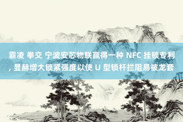 霸凌 拳交 宁波安芯物联赢得一种 NFC 挂锁专利， 显赫增大锁紧强度以使 U 型锁杆拦阻易被龙套
