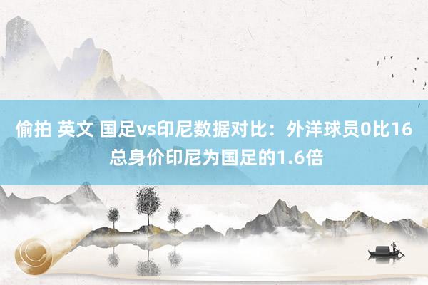 偷拍 英文 国足vs印尼数据对比：外洋球员0比16 总身价印尼为国足的1.6倍