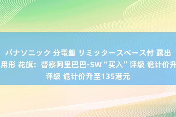 パナソニック 分電盤 リミッタースペース付 露出・半埋込両用形 花旗：督察阿里巴巴-SW“买入”评级 诡计价升至135港元