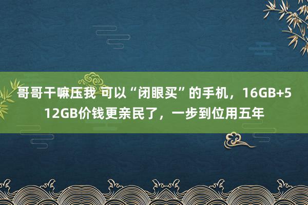 哥哥干嘛压我 可以“闭眼买”的手机，16GB+512GB价钱更亲民了，一步到位用五年
