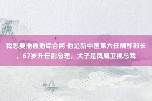 我想要插插插综合网 他是新中国第六任酬酢部长，67岁升任副总理，犬子是凤凰卫视总裁