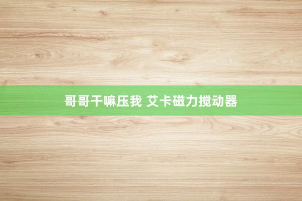 哥哥干嘛压我 艾卡磁力搅动器