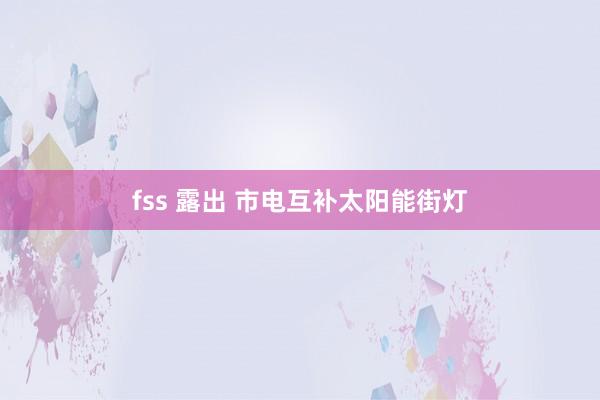 fss 露出 市电互补太阳能街灯