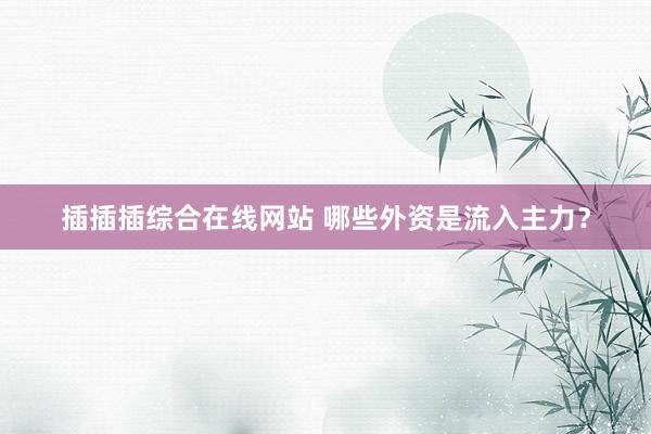 插插插综合在线网站 哪些外资是流入主力？