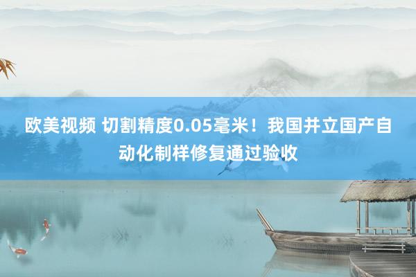 欧美视频 切割精度0.05毫米！我国并立国产自动化制样修复通过验收