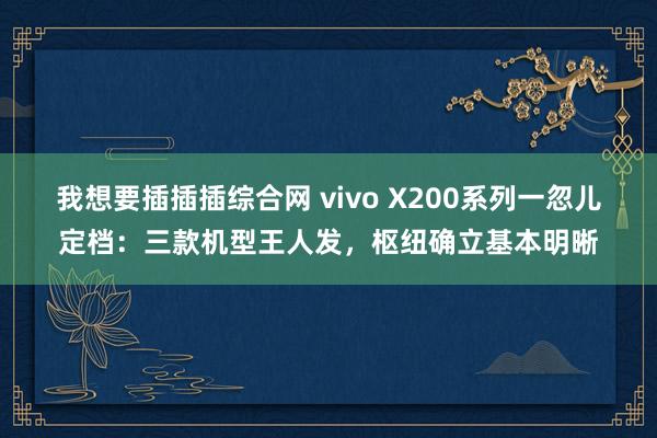 我想要插插插综合网 vivo X200系列一忽儿定档：三款机型王人发，枢纽确立基本明晰