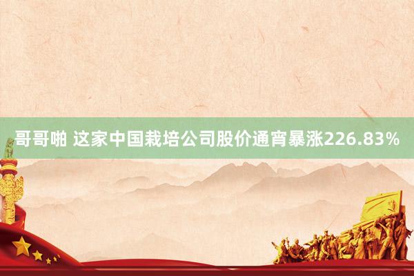 哥哥啪 这家中国栽培公司股价通宵暴涨226.83%