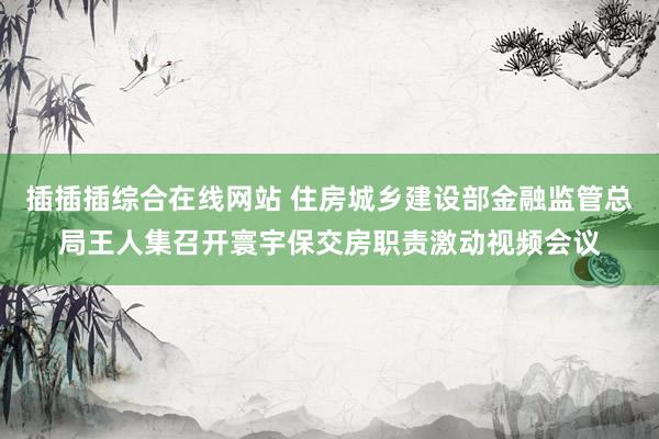 插插插综合在线网站 住房城乡建设部金融监管总局王人集召开寰宇保交房职责激动视频会议