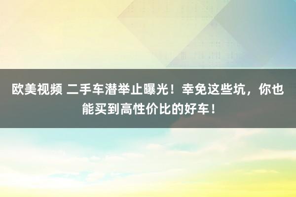 欧美视频 二手车潜举止曝光！幸免这些坑，你也能买到高性价比的好车！