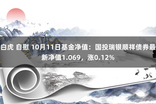 白虎 自慰 10月11日基金净值：国投瑞银顺祥债券最新净值1.069，涨0.12%