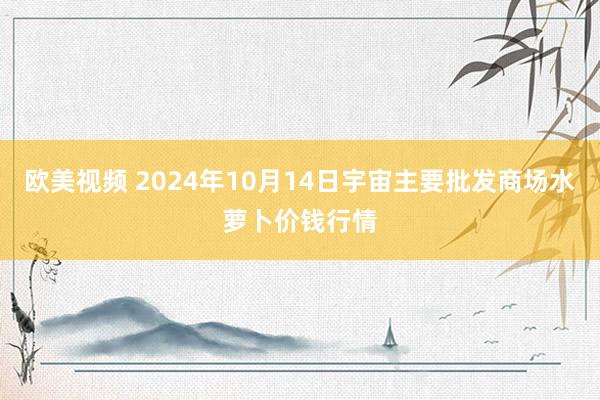 欧美视频 2024年10月14日宇宙主要批发商场水萝卜价钱行情