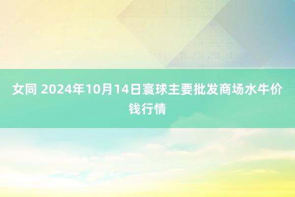 女同 2024年10月14日寰球主要批发商场水牛价钱行情