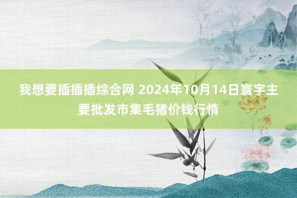 我想要插插插综合网 2024年10月14日寰宇主要批发市集毛猪价钱行情