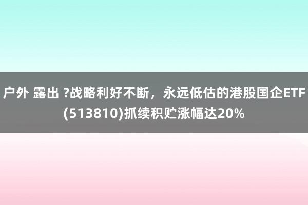户外 露出 ?战略利好不断，永远低估的港股国企ETF(513810)抓续积贮涨幅达20%
