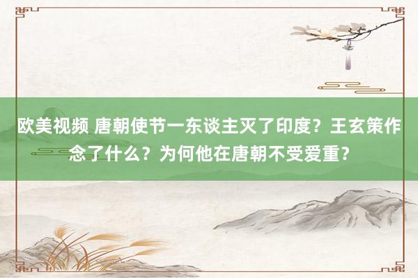 欧美视频 唐朝使节一东谈主灭了印度？王玄策作念了什么？为何他在唐朝不受爱重？
