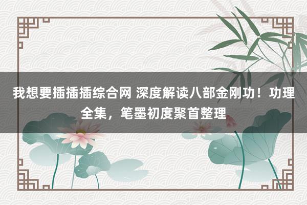 我想要插插插综合网 深度解读八部金刚功！功理全集，笔墨初度聚首整理