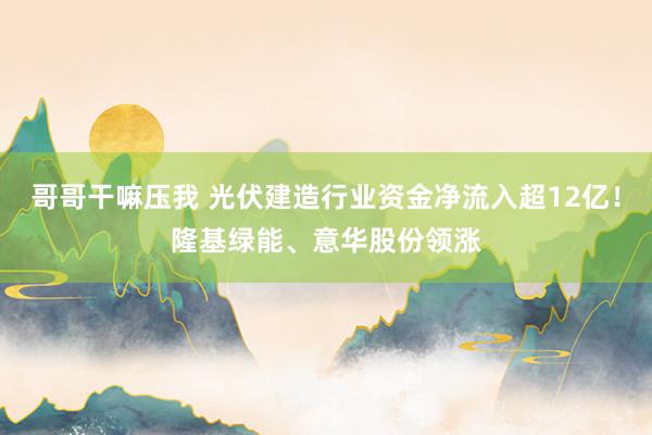 哥哥干嘛压我 光伏建造行业资金净流入超12亿！隆基绿能、意华股份领涨