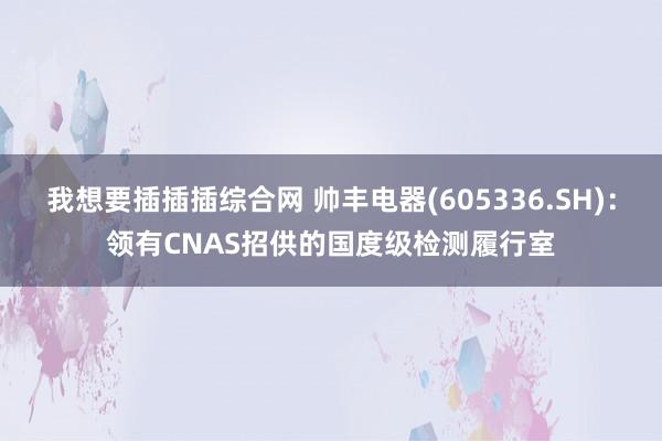 我想要插插插综合网 帅丰电器(605336.SH)：领有CNAS招供的国度级检测履行室