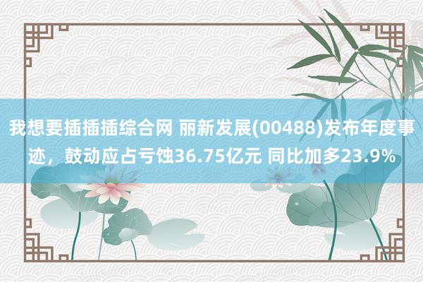 我想要插插插综合网 丽新发展(00488)发布年度事迹，鼓动应占亏蚀36.75亿元 同比加多23.9%