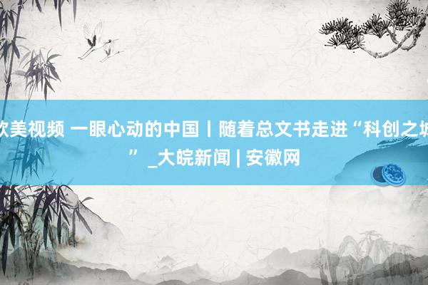 欧美视频 一眼心动的中国丨随着总文书走进“科创之城” _大皖新闻 | 安徽网