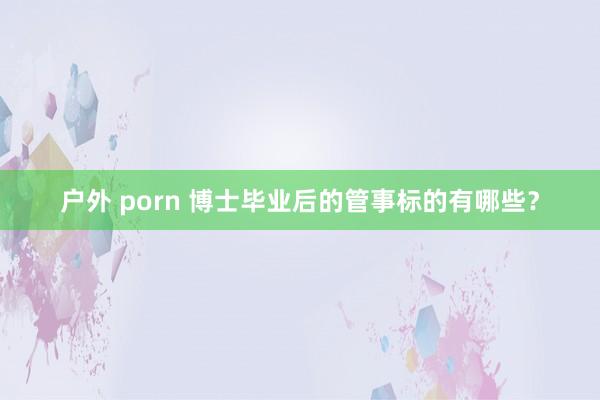 户外 porn 博士毕业后的管事标的有哪些？