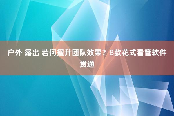 户外 露出 若何擢升团队效果？8款花式看管软件贯通