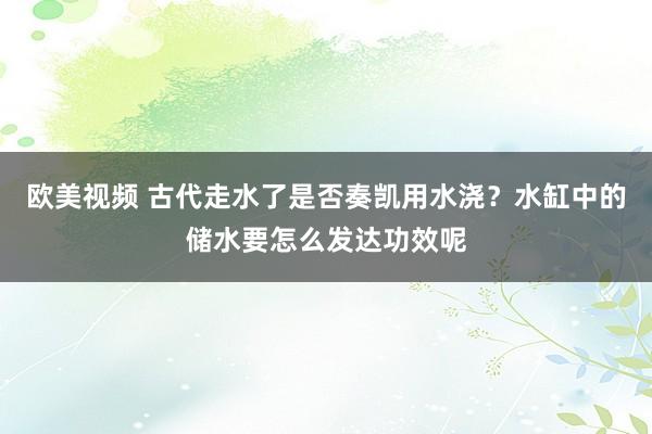 欧美视频 古代走水了是否奏凯用水浇？水缸中的储水要怎么发达功效呢