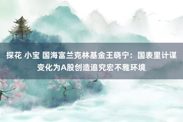 探花 小宝 国海富兰克林基金王晓宁：国表里计谋变化为A股创造追究宏不雅环境