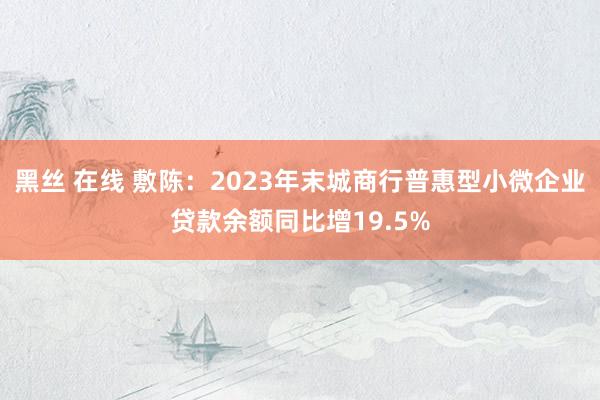 黑丝 在线 敷陈：2023年末城商行普惠型小微企业贷款余额同比增19.5%