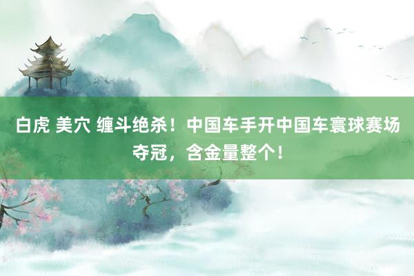 白虎 美穴 缠斗绝杀！中国车手开中国车寰球赛场夺冠，含金量整个！
