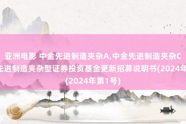 亚洲电影 中金先进制造夹杂A,中金先进制造夹杂C: 中金先进制造夹杂型证券投资基金更新招募说明书(2024年第1号)