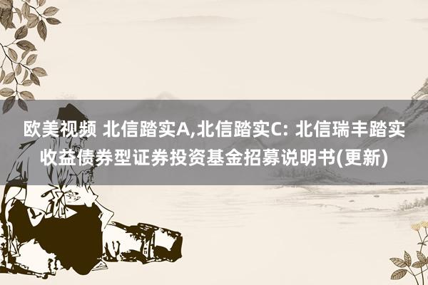 欧美视频 北信踏实A,北信踏实C: 北信瑞丰踏实收益债券型证券投资基金招募说明书(更新)