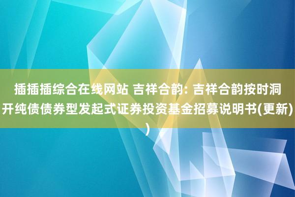 插插插综合在线网站 吉祥合韵: 吉祥合韵按时洞开纯债债券型发起式证券投资基金招募说明书(更新)